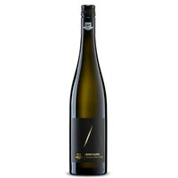 Sauvignon Blanc Avantgarde 2019<br/>Bergdolt-Reif & Nett – Pfalz 